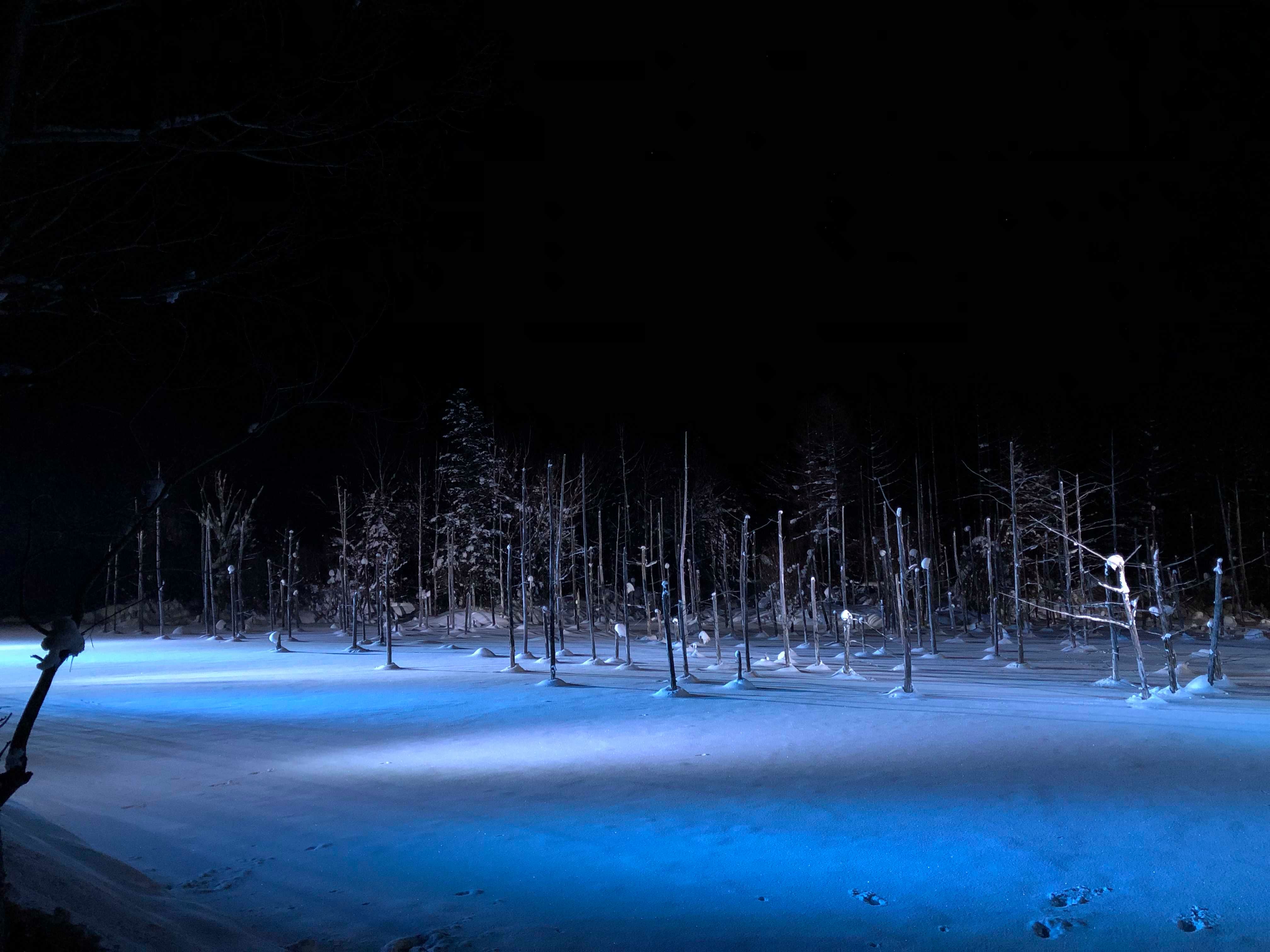 青池結凍了!冬季北海道美瑛青池夜間點燈