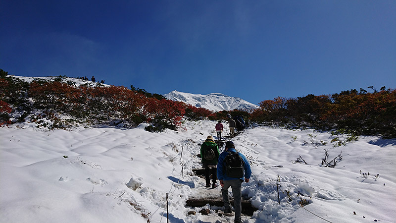 北海道旭岳初冠雪！與紅葉相互輝映的絕景